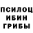 Псилоцибиновые грибы GOLDEN TEACHER Roman Lazariuc