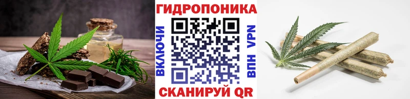 Cannafood марихуана  мориарти какой сайт  Микунь  наркошоп 