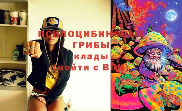ГАЛЛЮЦИНОГЕННЫЕ ГРИБЫ Бугульма