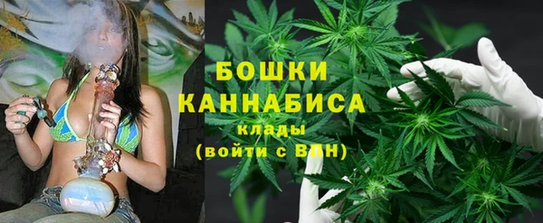 ГАЛЛЮЦИНОГЕННЫЕ ГРИБЫ Бугульма
