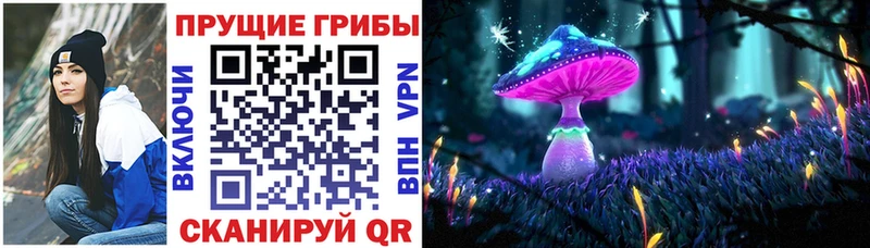 Галлюциногенные грибы прущие грибы  Микунь 